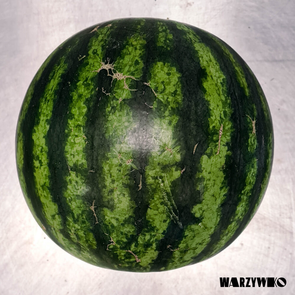 Arbuz